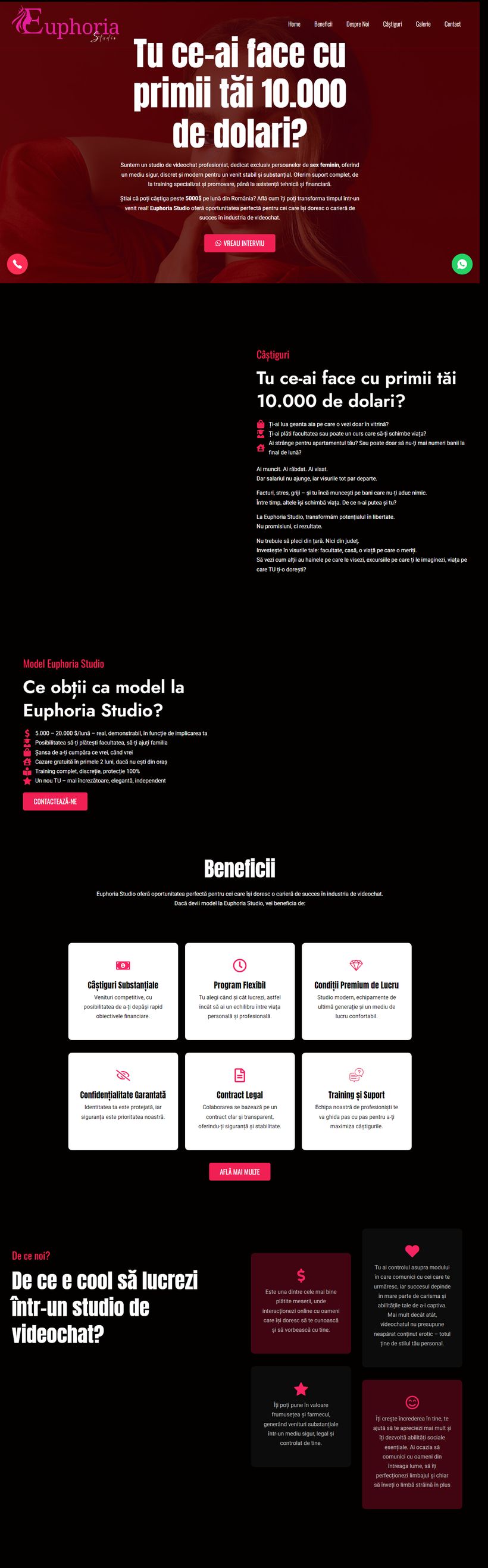 Euphoria Studio — web design Brave Design